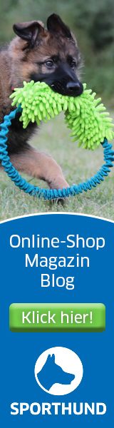sporthund